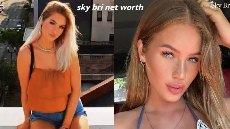 sky bri net worth
