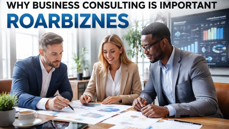 Why Business Consulting Is Important Roarbiznes